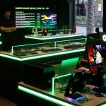 razer-4819694_1280-1